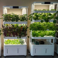 Usine commerciale de culture hydroponique pour légumes-feuilles, laitues et fraises – Système hydroponique pour salades