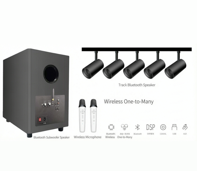YOUZHUAN 5.1CH Wireless Home Theater & Karaoke System Active Subwoofer 5 Track Speakers 2 Mics Sing & Movie in One for