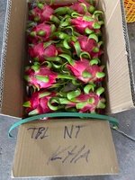 Verse Dragon Fruit Vietnam Ninh Thuan Graad AA Wit Vlees 50 Dagen Houdbaarheid Exportnormen Landbouw Tropisch 100%