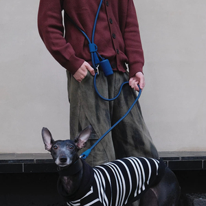 Nuovo Trend Guinzaglio per Cani 4-in-1 Regolabile a Mani Libere, Tracolla, Cintura in Nylon e Poliestere con <span class=keywords><strong>Silicone</strong></span> - Product Image 4