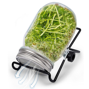 Venta al por mayor de fábrica, 16oz, 32oz, tarro de almacenamiento de conservas de vidrio de boca ancha vacío, botella de brotes con tapas de brotes de acero inoxidable - Product Image 1