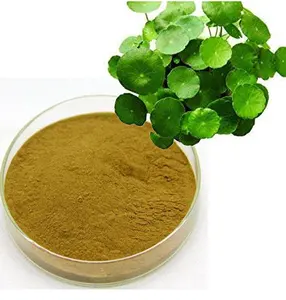 Supply High Quality Free Sample Centella Asiatica Extract Powder On Sale