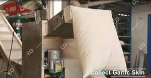 220 V Handels Knoblauch-Ganzbel-Zerkleinerer Maschine Glühbirne-Schälmaschine gewerbe Knoblauch- und Ingwer-Schällmaschine Preis - Product Image 6