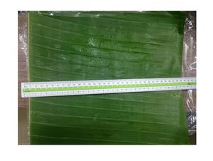 Vietnam <b>Banana</b> Leaves Great Quality <b>Fresh</b> <b>Banana</b> Leaf 100% Natural Good Quality for Wrapping Food Ecofriendly for Export - Product Image 2