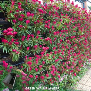 Jardinera Vertical para Pared SL-XQ3319, Jardinera Vertical para Exteriores, Macetas para Pared Viva, para Usar con Flores/Plantas Verdes, de Plástico - Product Image 1