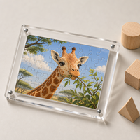 Puzzles en acrylique transparent personnalisés en gros, jouets éducatifs pour enfants, jeux de société animaux de dessin animé, cadres pour cadeaux d'anniversaire pour enfants