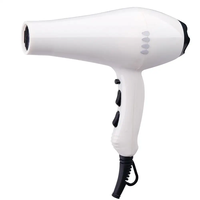 Sèche-cheveux professionnel puissant de dernière génération, fabriqué par un fabricant de sèche-cheveux avec moteur AC, pour salon
