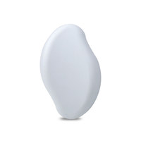 Lime à pied Callus Peau Morte Râpe Enlèvement Professionnel Callus Remover Nano Indolore Peau Morte Cornée