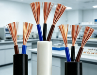 Kabel Kontrol RVV Multi-Core Fleksibel Berlapis PVC Tembaga Terpilin 2/3 Inti untuk Kabel Rumah Tangga dan Industri (Roll)