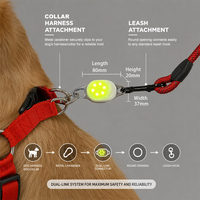 Pendentif de sécurité pour animaux de compagnie UMIONE, personnalisé en usine, à double LED, rechargeable par USB, 360° °   Harnais lumineux pour chien à clipser multicolores