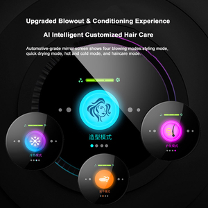 ไดร์เป่าผมเป่าผมไฟฟ้าแรงดันสูงเลสโคลตัน - Product Image 3