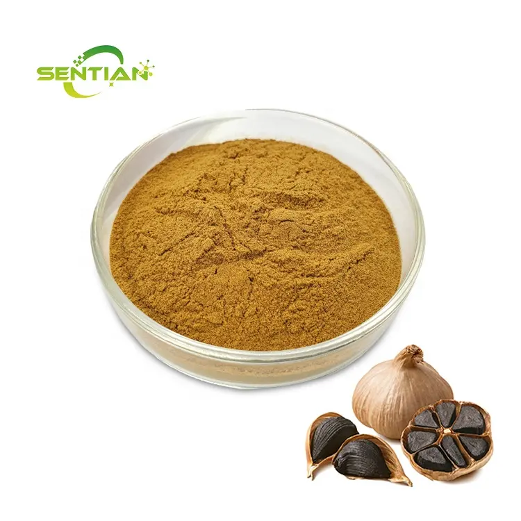 Factory Hot Sales Black Garlic Powder 100% Natural Pure Black Garlic Extract Powder