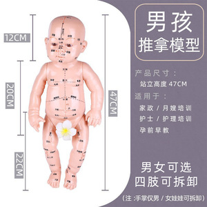 แบบจำลองการนวดเด็ก ตุ๊กตาเด็กเสมือนจริง วัสดุพีวีซี จุดฝังเข็มสำหรับฝึกสอนและการสาธิต - Product Image 3