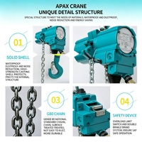 Nouvelle grue à chaîne pneumatique APAX CRANE 220V, capacité de levage de 5 tonnes, protection IP65, télécommande pour utilisation en atelier