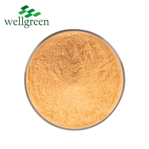 Organic Mangoes Powder Seed Flavor Juice Freeze Dried Leaf <strong>Fruit</strong> African Fresh Mangos Mango <strong>Extract</strong> - Product Image 1