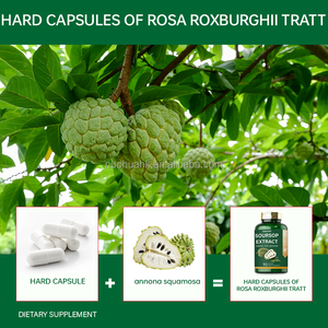 Soursop Extract Capsules 2000mg <b>Herbal</b> <b>Supplement</b> 90 Capsules Gluten Free OEM ODM Adult Health Care - Product Image 2