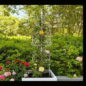 Treillis pour plantes en pot, treillis de jardin pour plantes grimpantes, piquets de support pour plantes antirouille, panneaux de clôture de jardin, clôtures - Product Image 2