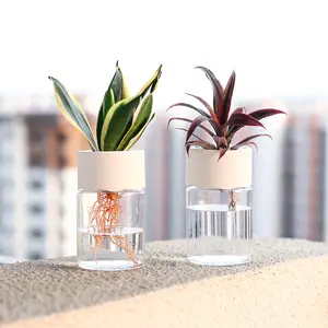 간단한 투명 수경 냄비 실내 및 야외 라운드 플라스틱 화분 식물 냄비