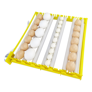 Vente flash : incubateur à <span class=keywords><strong>œufs</strong></span> de 42 <span class=keywords><strong>œufs</strong></span> avec plateau à <span class=keywords><strong>œufs</strong></span> rotatif à vendre - Product Image 4
