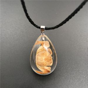 Collar con Colgante de Resina Transparente con <span class=keywords><strong>Insectos</strong></span> Reales, Collar con Espécimen de Insecto, Joyería para Hombre - Product Image 3