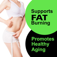 Poudre de protéines végétales 21g Récupération musculaire Métabolisme Digestion Contrôle de la faim Concentration Énergie Brûlage des graisses Vieillissement sain