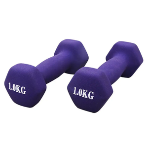 Best-selling Customizable Plastic-dipped Dumbbells for Gym Commercial Dumbbells