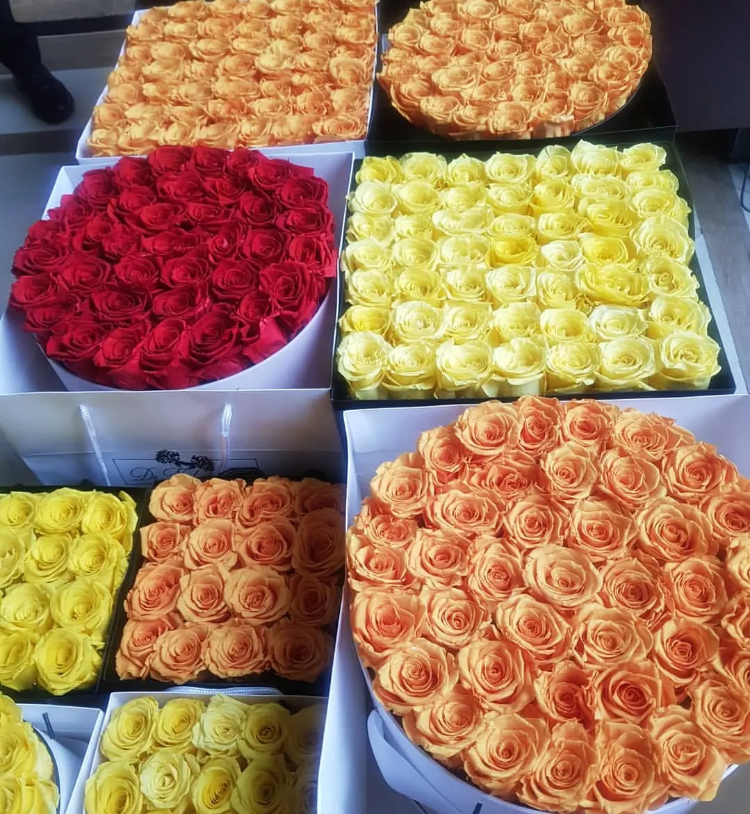 Roses éternelles séchées, 12 pièces, avec tête de fleur préservée, boîte cadeau