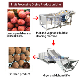 High Effective Mesh Belt Dryer Fruit Drying Machine Litchi Cleaning and Slicing Drying Line Litchi Dehydration Machine - Product Image 2