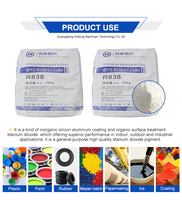 Poudre de Pigment de Dioxyde de Titane de Qualité Industrielle Marque HLBC Chine, Pureté 96%, Rutile Blanc R838 pour Peintures et Revêtements