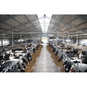 Prefabricated modern cheap agricultural sheep cattle metal frame shed steel structure cow shed farm building