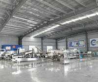 Fabricant de machines extrudeuses automatiques de croquettes pour animaux de compagnie, ligne de production de nourriture pour chiens et chats, usine de fabrication de granulés nutritionnels