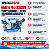 Mesin Diesel Laut Kecepatan Tinggi Weichai 6M21 Seri 750hp 2300RPM 6M21Y750-23E201 untuk Kapal Pesiar dengan Sertifikat IMO