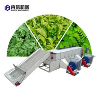 Topverkopers Industriële Fruitdrogers Industriële Vleesdroger Mesh Belt Ui/Dadel/Palm/Kokosnoot Koffieboon Droogmachine