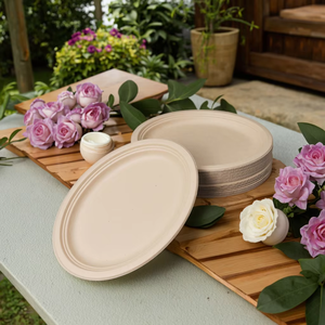 Assiette ovale biodégradable en bagasse de haute qualité, 10x8, jetable, <span class=keywords><strong>micro</strong></span>-ondable, alimentaire, pour desserts et fêtes - Product Image 6
