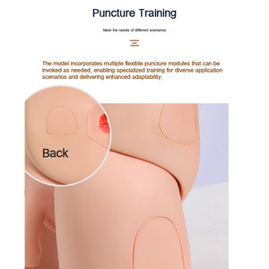 DARHMMY Nouveau modèle de formation au cathétérisme interchangeable unisexe avancé pour l'enseignement médical - Product Image 3