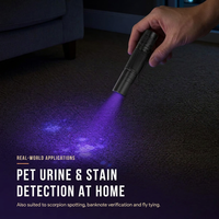 Lampe torche UV 365nm pour la détection des animaux domestiques, filtre UV noir, mini lampe torche UV
