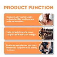 Complément de Fertilité Masculine : Extrait d'Huître et de Maca Liquide Oral – Vente en Gros – Améliore l'Endurance et Combat la Fatigue – Gouttes Orales d'Huître et de Maca pour Hommes