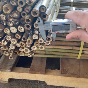 เสาไม้ไผ่ขนาดใหญ่แบบเวียดนามสำหรับรั้วก่อสร้างเชิงนิเวศและของตกแต่งบ้านจากผู้ผลิต - Product Image 1