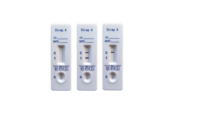 ชุดตรวจเร็ว Chuangxingwell SemiQ สำหรับตรวจหาเชื้อสเตรปโตโคคัส รุ่นใหม่ล่าสุด ผลิตตามสั่ง ตรวจหาแอนติเจนของสเตรปโตโคคัส ชนิด <span class=keywords><strong>A</strong></span> รวดเร็วและเชื่อถือได้ ใช้การตรวจแบบแมนนวล - Product Image 4