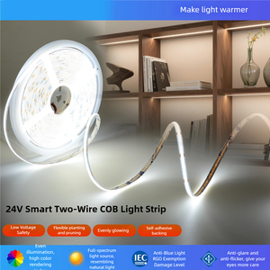 Светодиодная лента 2-в-1 с двойным цветом, 2835, регулируемая цветовая температура (CCT), белый/теплый белый (2700K, 3000K, 6500K, 7000K), гибкая светодиодная лента для помещений - Product Image 2