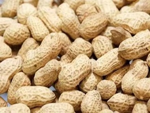 Đậu phộng rang hữu cơ chất lượng cao trong vỏ khô phong cách ăn nhẹ với chế biến thô - Product Image 6