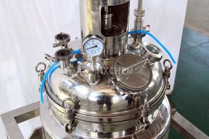Réacteur chimique en acier inoxydable bibo 100L à polissage haute performance (Cuve de réaction) avec moteur semi-automatique haute productivité - Product Image 5
