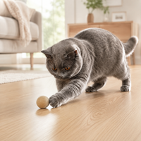 Boules de feutre en peluche bio LucyBalu Peach Fuzzy |   Balles pour chat en laine de mouton 100% |   3+ balles de jeu en feutre fait main avec pochette en coton |   Fabriqué