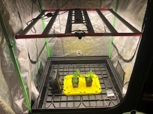 600 Wát quang phổ đầy đủ nhôm Led phát triển ánh <span class=keywords><strong>s</strong></span>áng thương mại nhà máy trong nhà không thấm nước IP65 cao ppf 1599mol/<span class=keywords><strong>S</strong></span> ra90 nở lm281b - Product Image 6