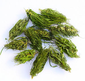 מקצועי תעשייתי רב שכבות מסוע מייבש חגורת רשת מסוע לייבוש עשבי תה - Product Image 6