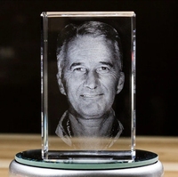 Produits très demandés : Machine de gravure laser verte 5W pour photos plates, trophées et médailles, portraits 3D