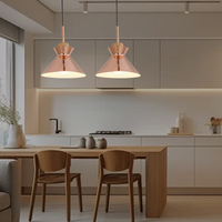 Vintage Industrial Style Metal Pendant Light Rose Gold Finish Lightweight Easy Installation Minimalist Design for Commercial Use