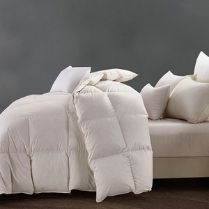 Couettes de lit queen avec <span class=keywords><strong>couette</strong></span> Filler House Queen pour l'hiver et l'hiver - Product Image 1