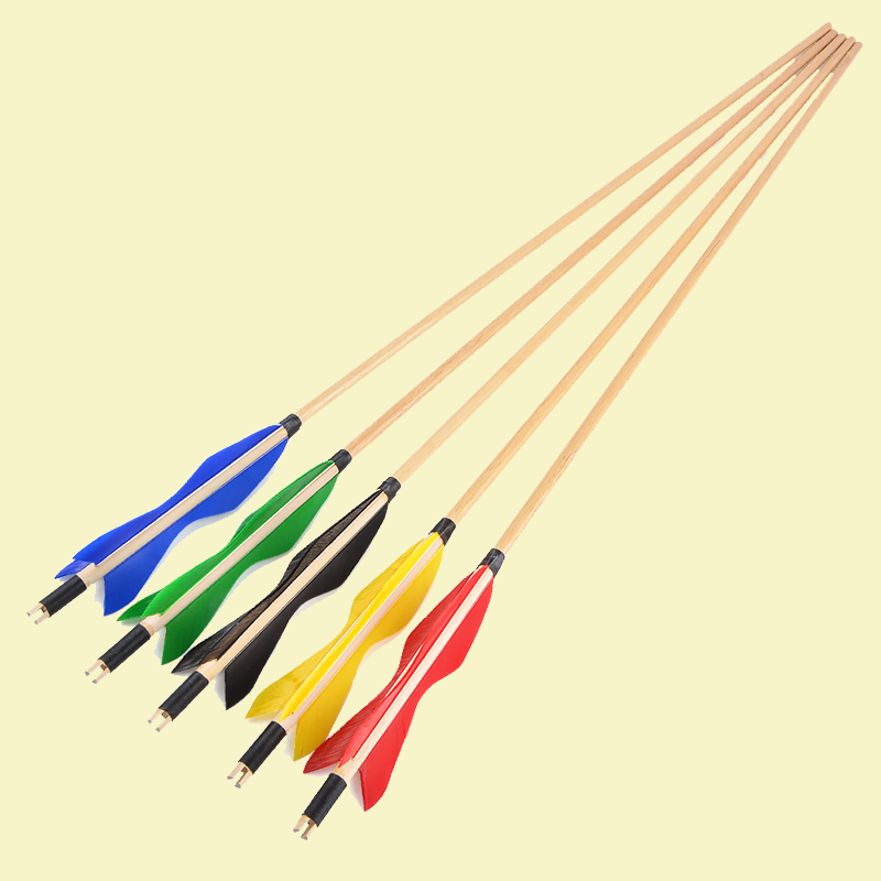 Kit Arc Composé Mini 45 Livres - Visée Cible Extérieure Tir à L'Arc Chasse - AMEYXGS
