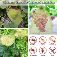 Organza Groen Fruit Bescherming Anti Insectennet Zak Fruitbomen Fruit Cover Netzak Met Trekkoord